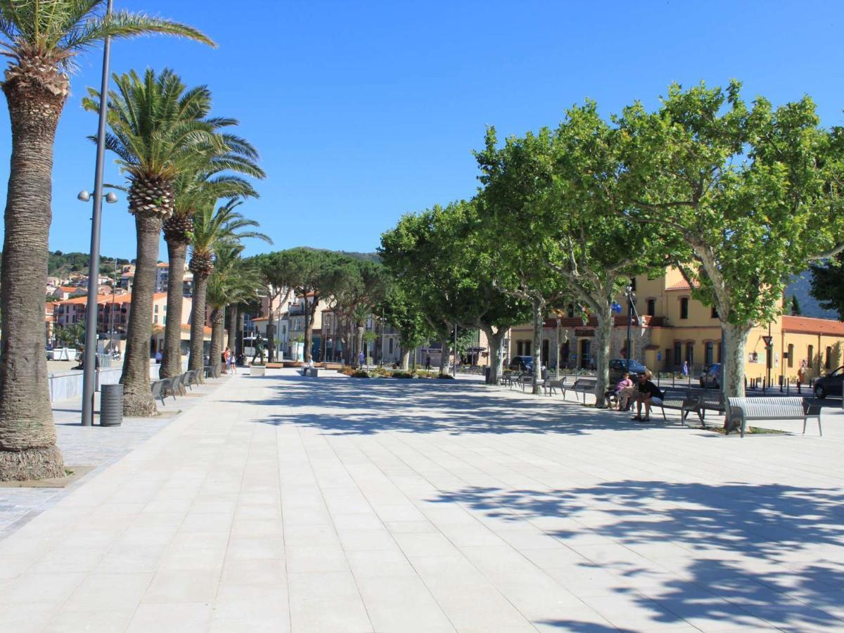 Appart T1 A 250M Plage, Clim, Wifi, Parking, Centre Banyuls - Fr-1-225C-75 Εξωτερικό φωτογραφία